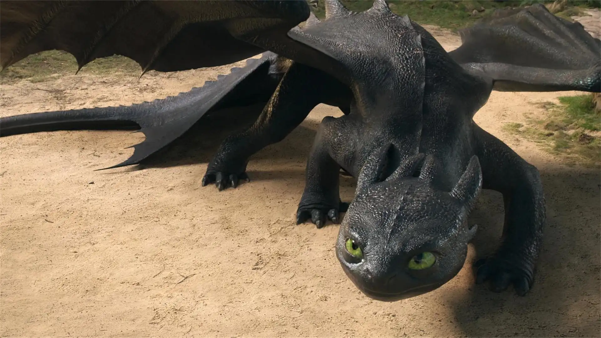 La versión live-action de Cómo Entrenar a tu Dragón ya está en cartelera: todo lo que debes saber